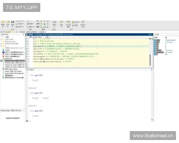 穆西亚拉终结效率的稳定性分析与提升空间